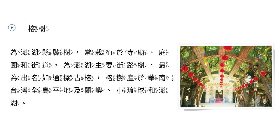 榕樹